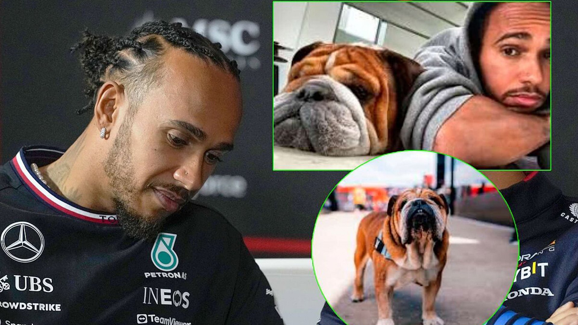 Lewis Hamilton hace una promesa a su famoso perro Roscoe, conocer